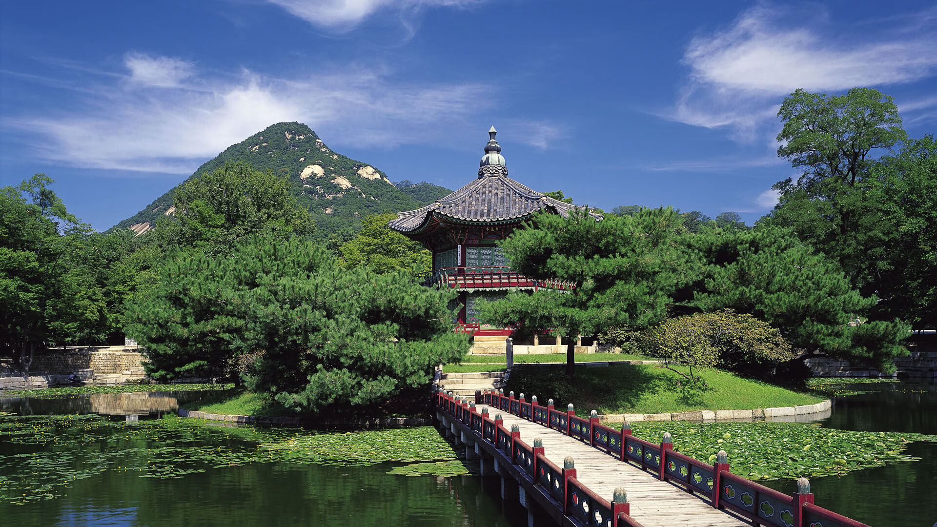 世界体操单项赛全国青训选拔启动，世界体操锦标赛