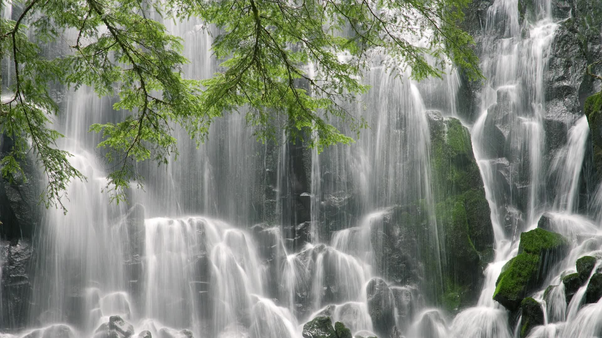 世界登山青年导师生态修复样板营评估报告出炉，世界登山协会